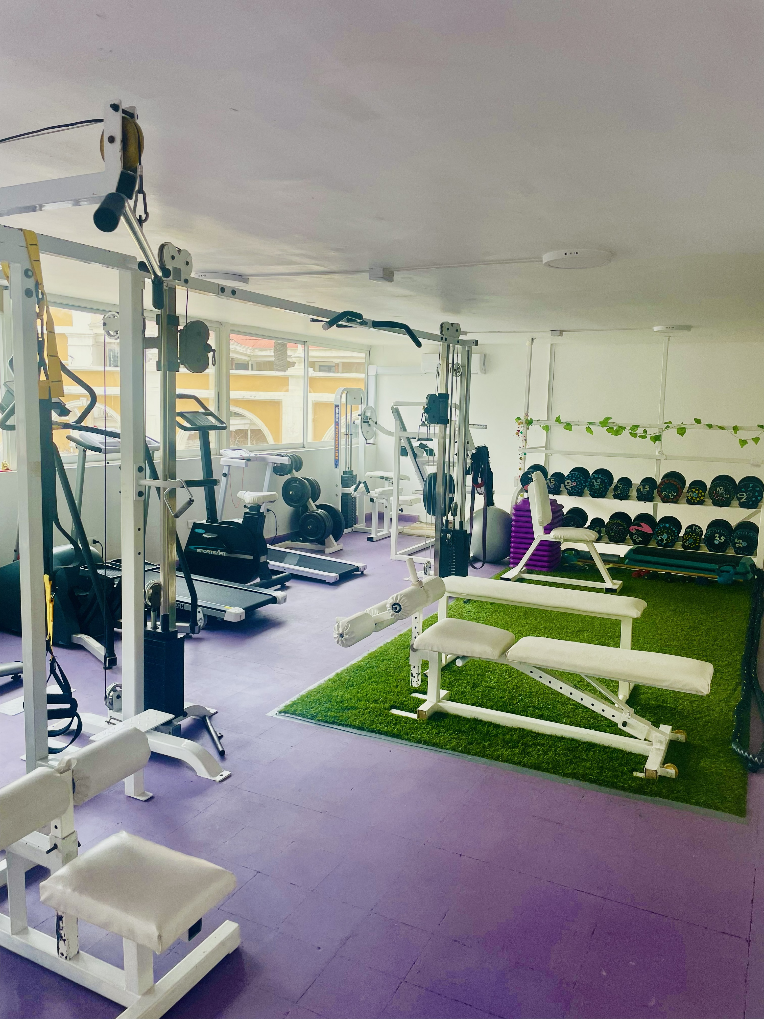 Gym Espacio Vuela